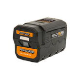Powerquip 58V 4ah Lithium Battery